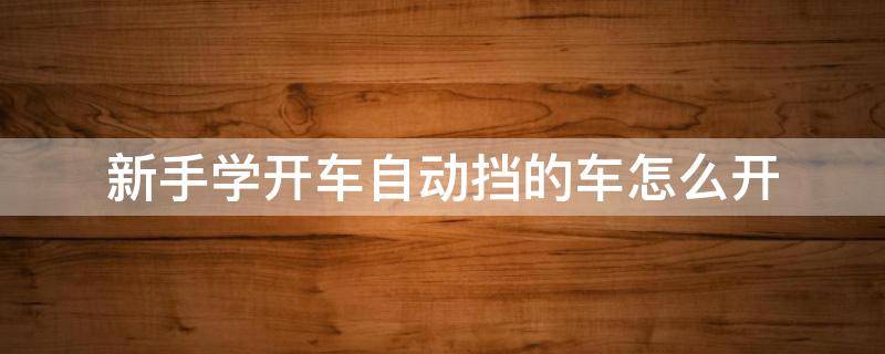 新手学开车自动挡的车怎么开（新手学开车自动挡的车怎么开的）