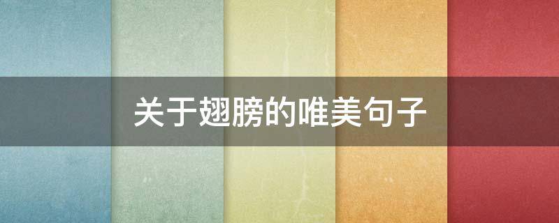 关于翅膀的唯美句子（关于翅膀的唯美句子大全）