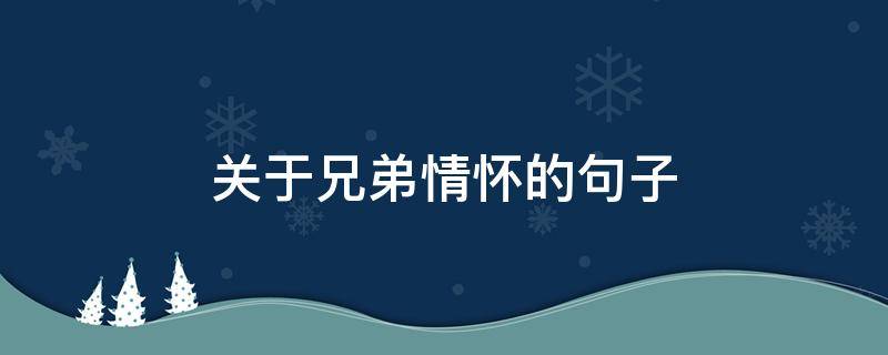 关于兄弟情怀的句子 兄弟情怀经典句子