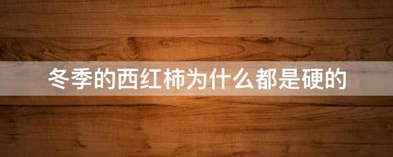 冬季的西红柿为什么都是硬的 冬季西红柿不红是什么原因
