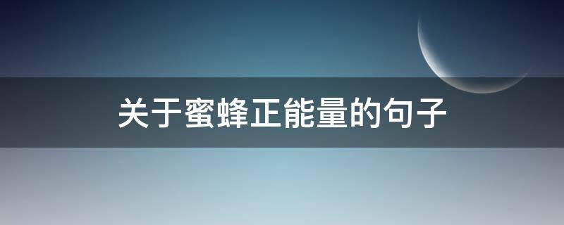 关于蜜蜂正能量的句子（蜜蜂正能量语录）