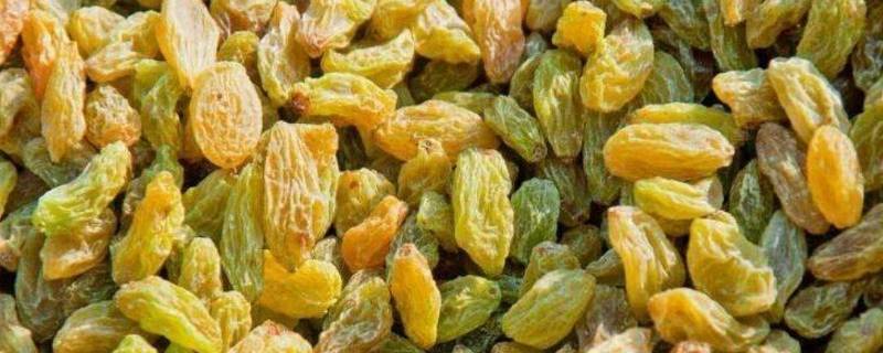 吃葡萄干的注意事项（吃葡萄干的注意事项和禁忌）