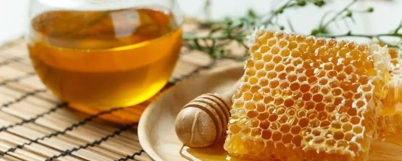 蜂蜜水用多少度水冲泡好（蜂蜜水用多少度的水冲泡）