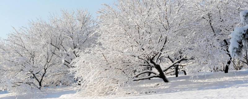 大雪节气的天气特点（大雪节气的天气变化）