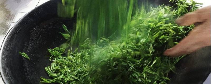 自己摘的茶叶怎么炒（自己摘的茶叶怎么炒着喝）