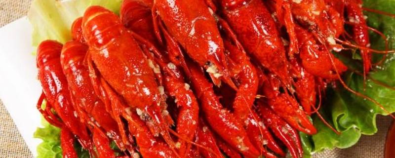 小龙虾头的黄是什么（小龙虾头的黄是什么部位）