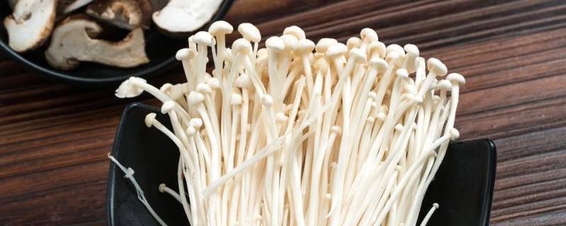 放冰箱金针菇四天能吃吗（金针菇放冰箱两个星期）