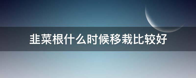 韭菜根什么时候移栽比较好 韭菜根啥时候栽好