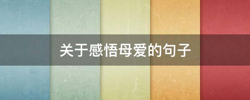 关于感悟母爱的句子 感悟母爱的句子 经典