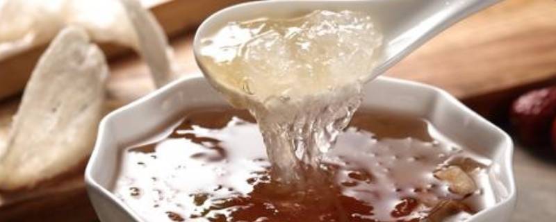 雪燕泡多了怎么存放（雪燕泡多了怎么存放不会坏）
