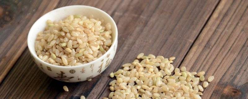 糙米能和小米一块熬粥吗（糙米能和小米一块熬粥吗）