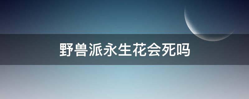 野兽派永生花会死吗（野兽派永生花为什么这么贵）