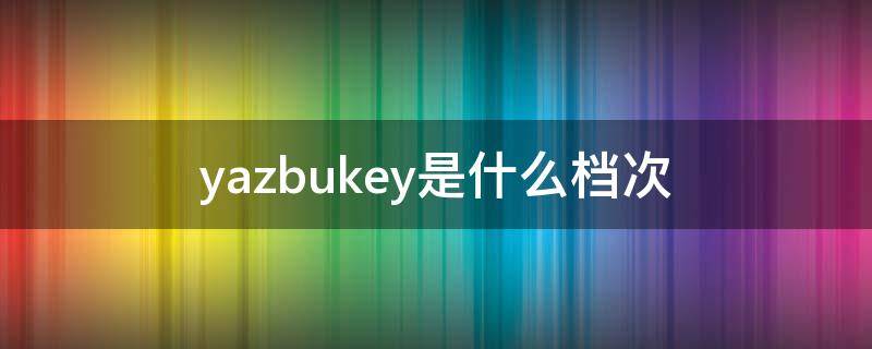yazbukey是什么档次 yazoo是什么牌子