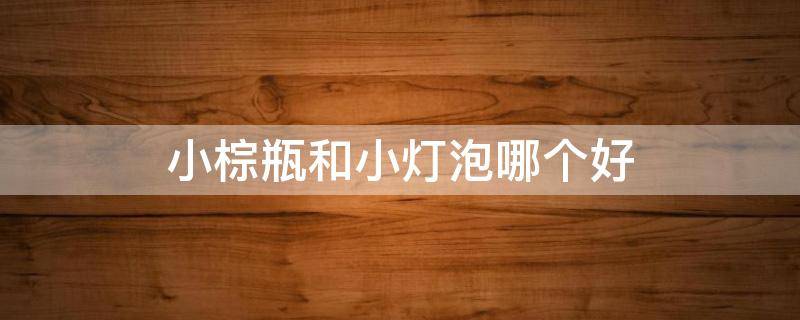小棕瓶和小灯泡哪个好（小棕瓶和小灯泡二选一）