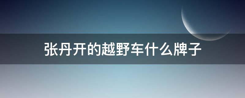 张丹开的越野车什么牌子（张丹ruby）