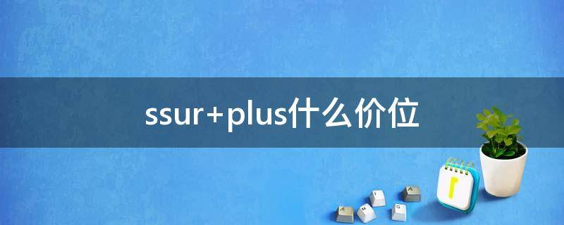 ssur plus什么价位