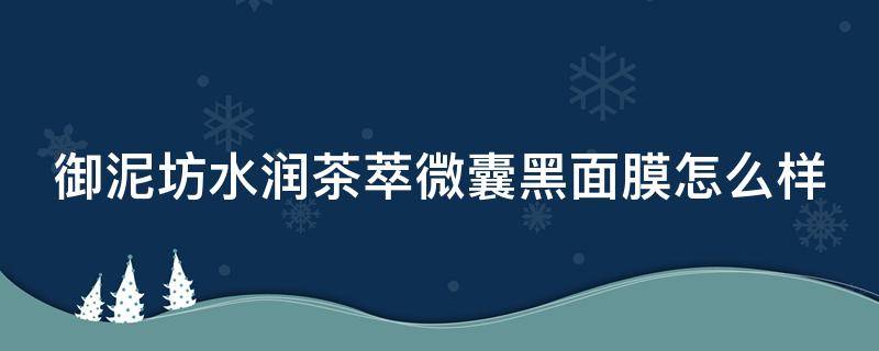 御泥坊水润茶萃微囊黑面膜怎么样（御泥坊的水润茶萃囊套装咋样）