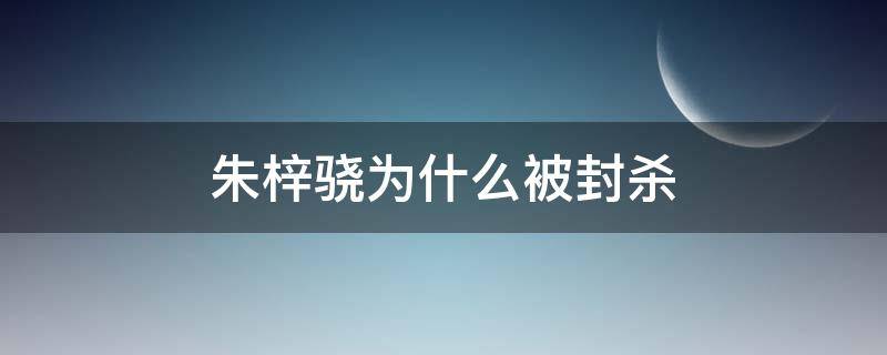朱梓骁为什么被封杀 朱梓骁为什么改名了