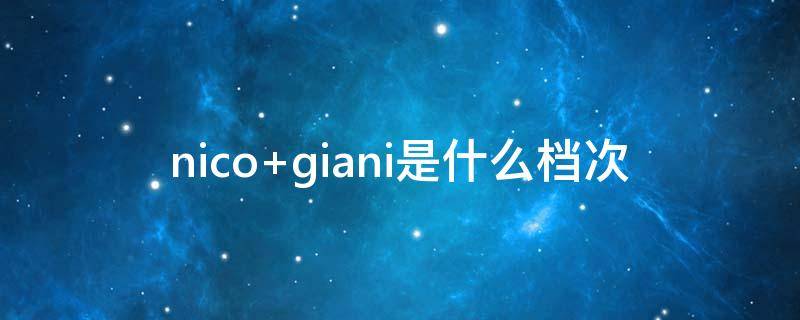 nico giani是什么档次