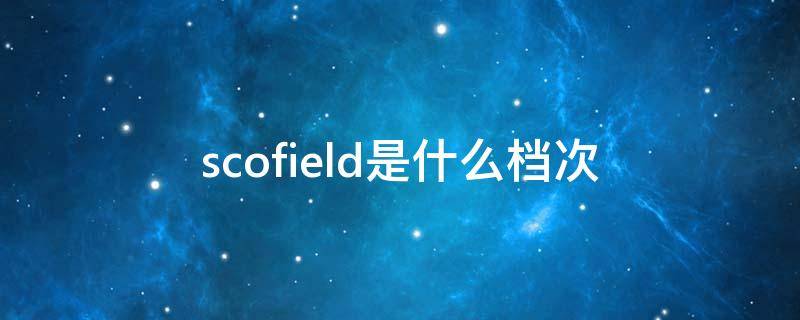 scofield是什么档次 scofield属于什么档次