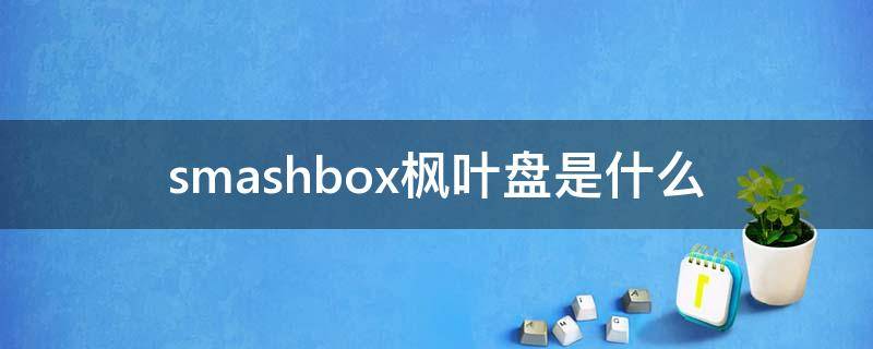 smashbox枫叶盘是什么