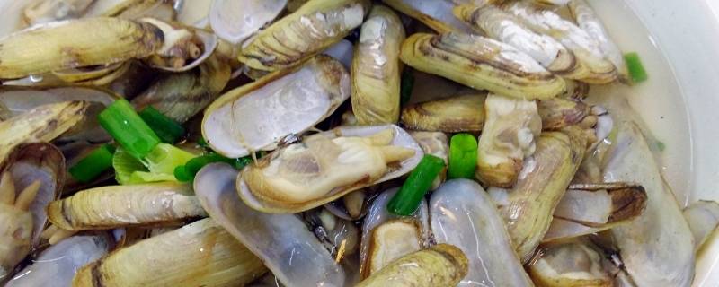 蛏子放冰箱还能吃吗（蛏子放冰箱还能吃吗多久）