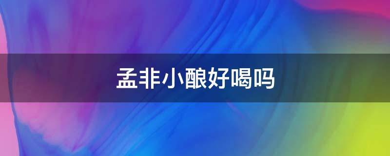 孟非小酿好喝吗（孟非小酿是孟非）