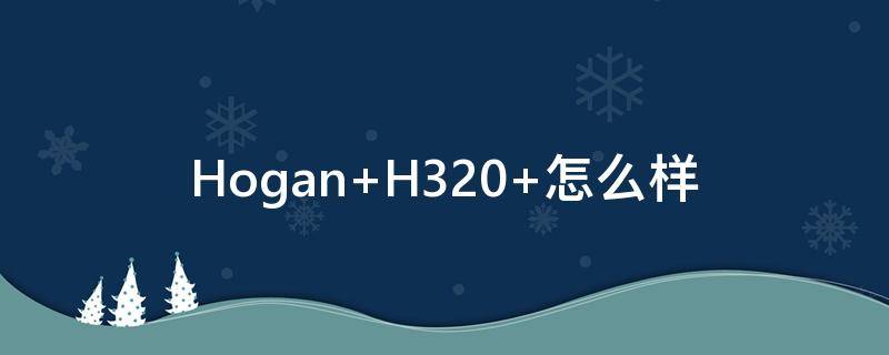 Hogan H320 怎么样