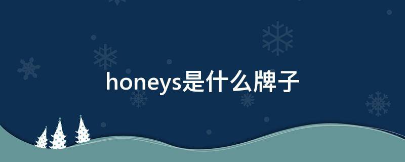 honeys是什么牌子（honeysky是什么牌子）