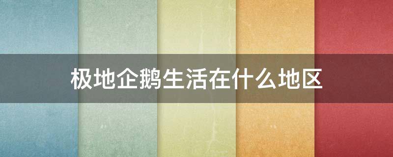 极地企鹅生活在什么地区（极地企鹅介绍）