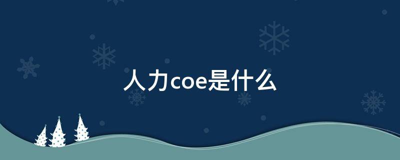 人力coe是什么（人力coe是什么岗位）