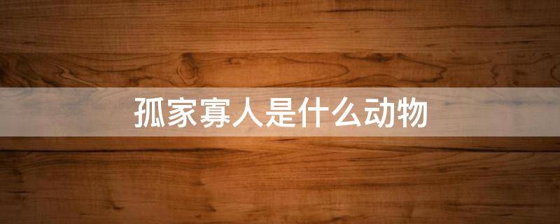 孤家寡人是什么动物（孤家寡人是什么动物生肖）