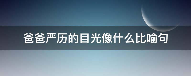 爸爸严历的目光像什么比喻句（爸爸严历的目光像什么比喻句二年级）
