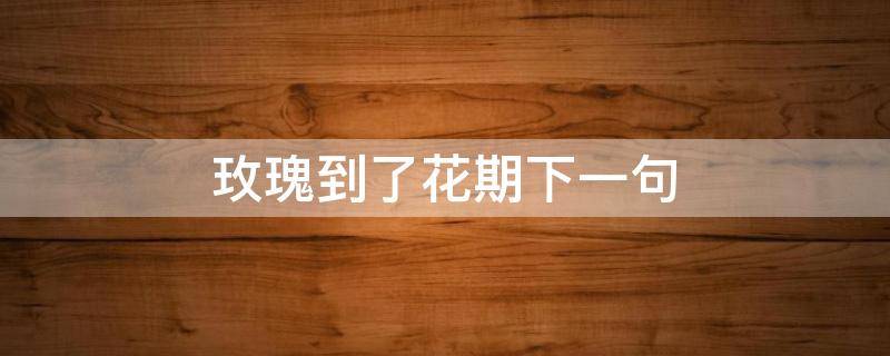 玫瑰到了花期下一句（玫瑰到了花期下一句是啥）