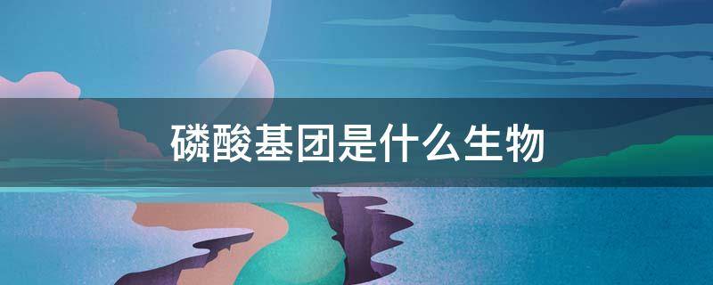 磷酸基团是什么生物 磷酸基团是什么生物结构