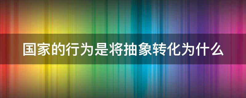 国家的行为是将抽象转化为什么