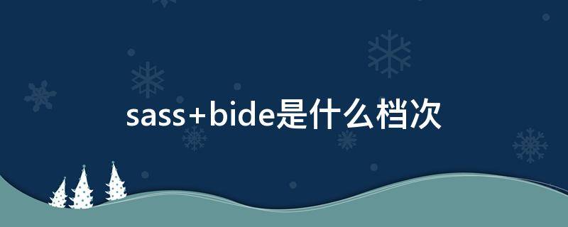 sass bide是什么档次