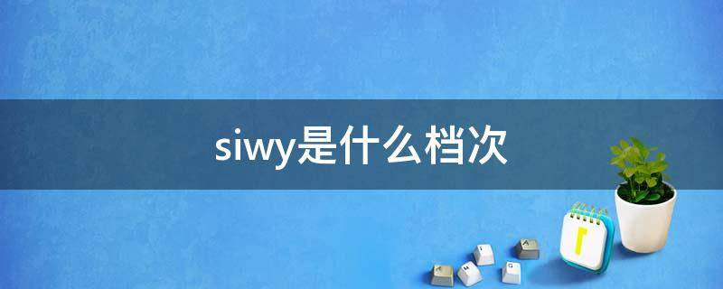siwy是什么档次（siw是什么牌子）