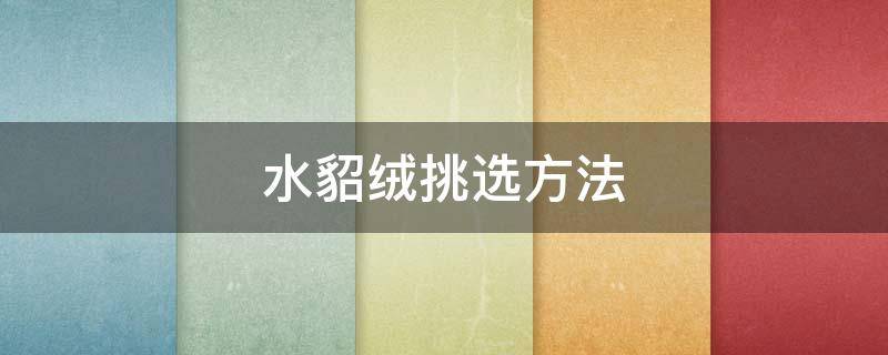 水貂绒挑选方法 水貂绒怎么鉴别