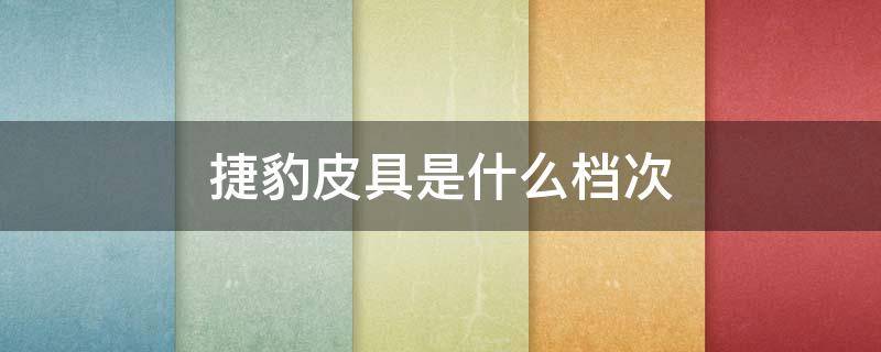 捷豹皮具是什么档次（捷豹皮具是奢侈品吗）