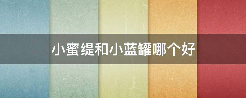 小蜜缇和小蓝罐哪个好（小蓝罐好用吗?）