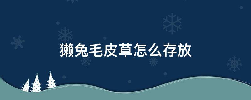 獭兔毛皮草怎么存放（兔毛皮草怎么保存）