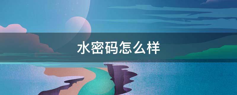 水密码怎么样（水密码怎么样?）