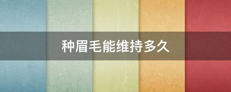 种眉毛能维持多久 种植眉毛多久可以看出效果