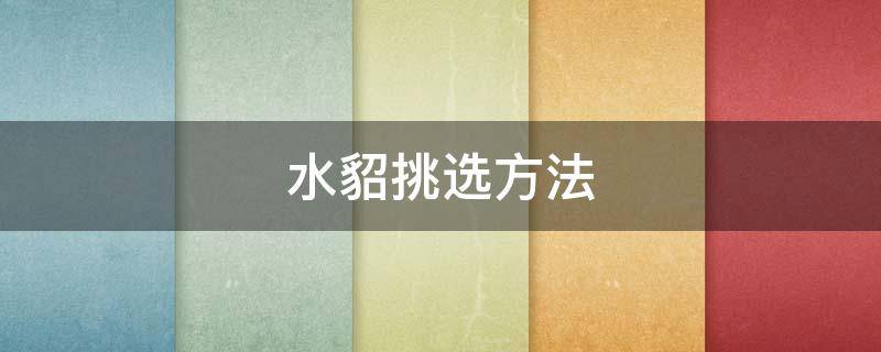 水貂挑选方法（水貂怎么选好坏）