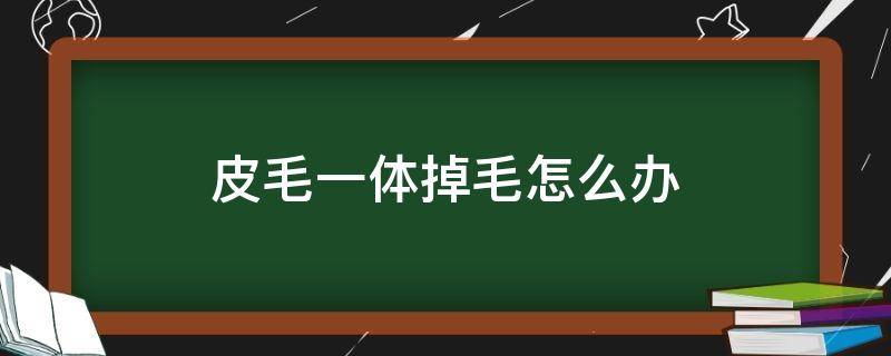 皮毛一体掉毛怎么办 皮毛一体掉毛怎么办?