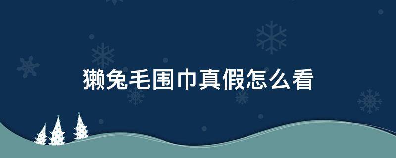 獭兔毛围巾真假怎么看（如何辨别真假獭兔毛围巾）