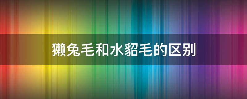 獭兔毛和水貂毛的区别（水獭毛和水貂毛的区别）