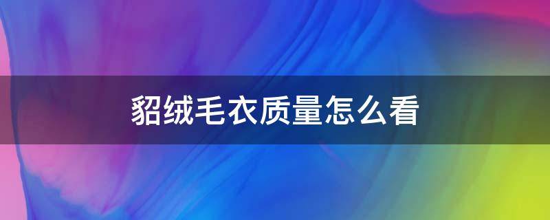 貂绒毛衣质量怎么看（貂绒质量辨别）