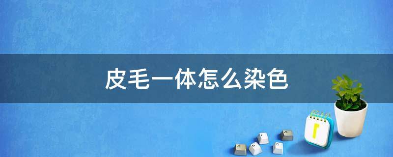 皮毛一体怎么染色（皮毛一体染上颜色怎么办）